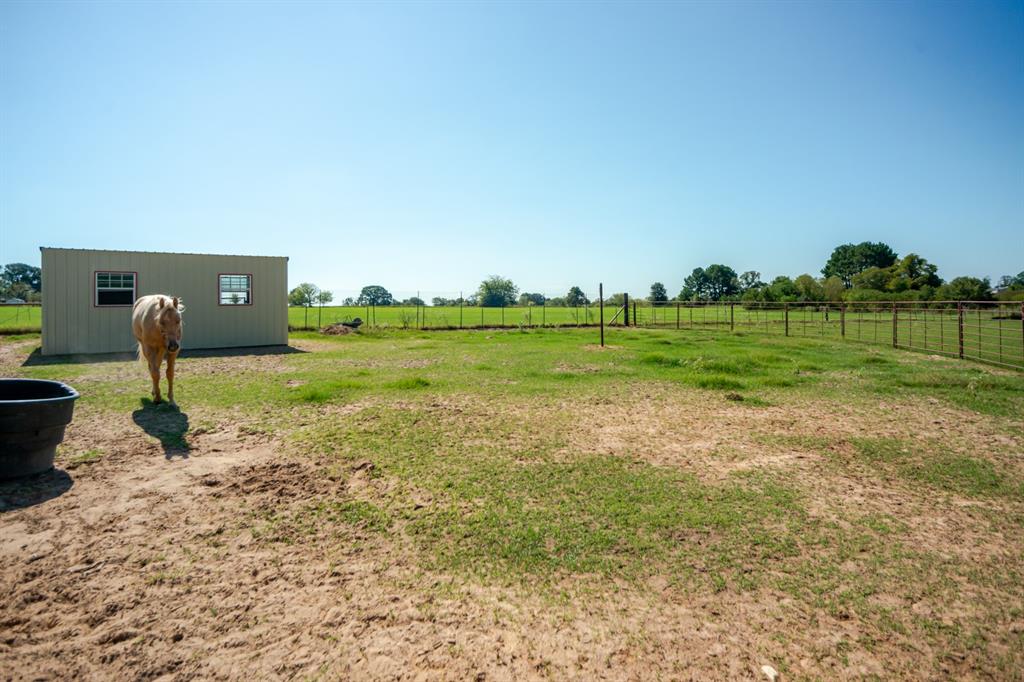 2548 Fm 857 Property Photo 7