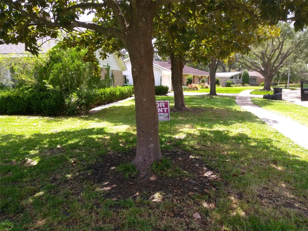 5951 Lattimer Drive Property Photo 4