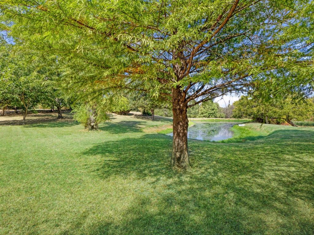 1333 Salt Branch Road Property Photo 8