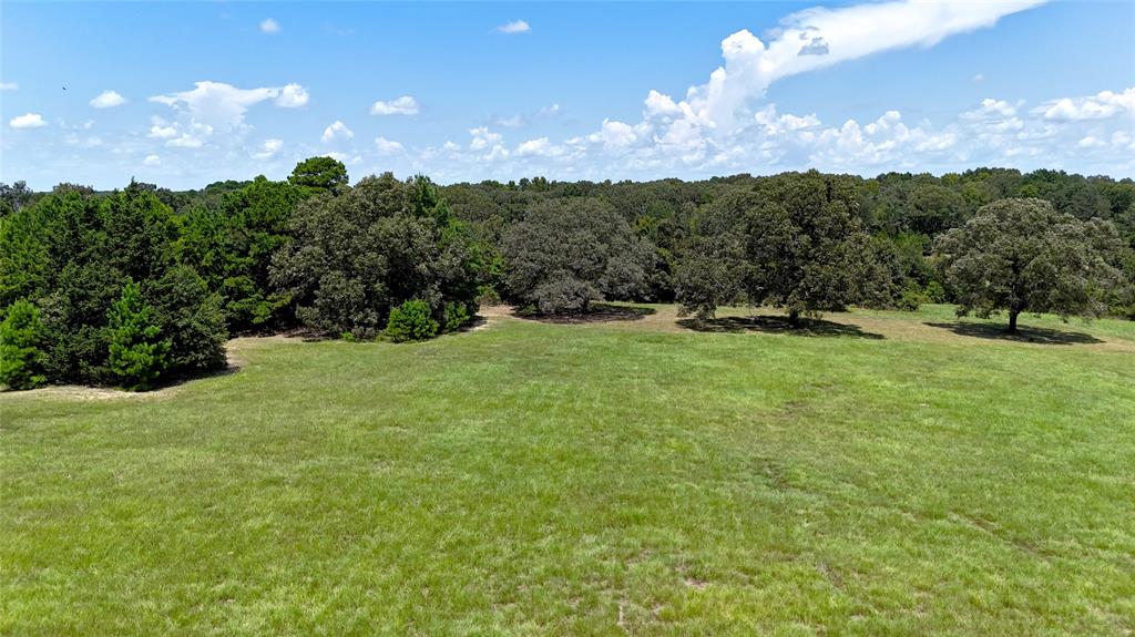 Tbd Lee Drive Property Photo 5