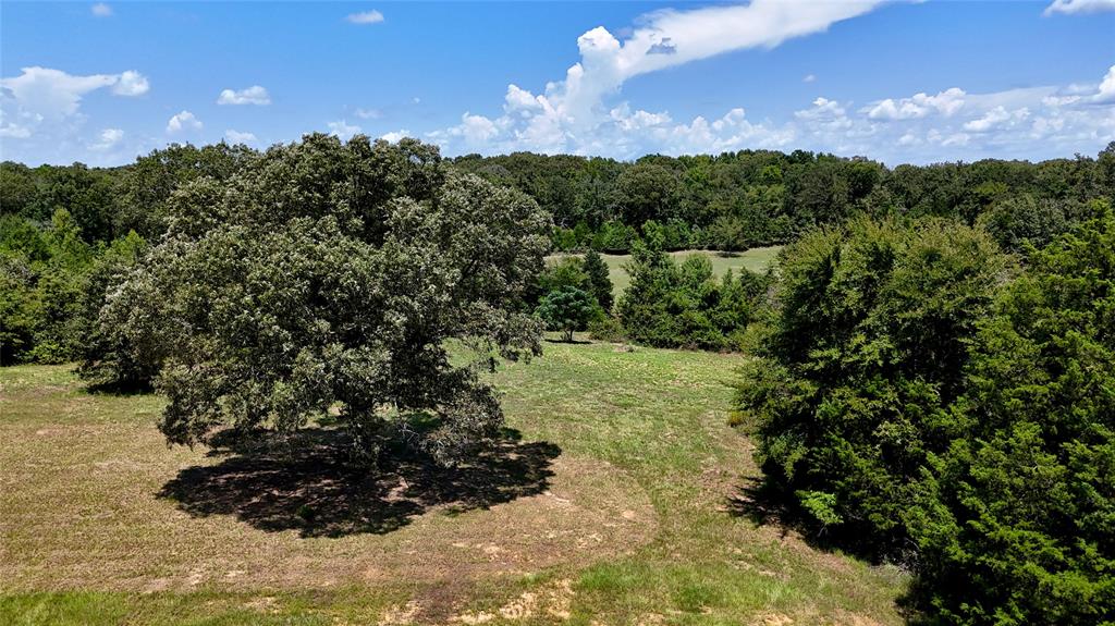 Tbd Lee Drive Property Photo 6