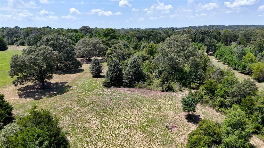 Tbd Lee Drive Property Photo 7