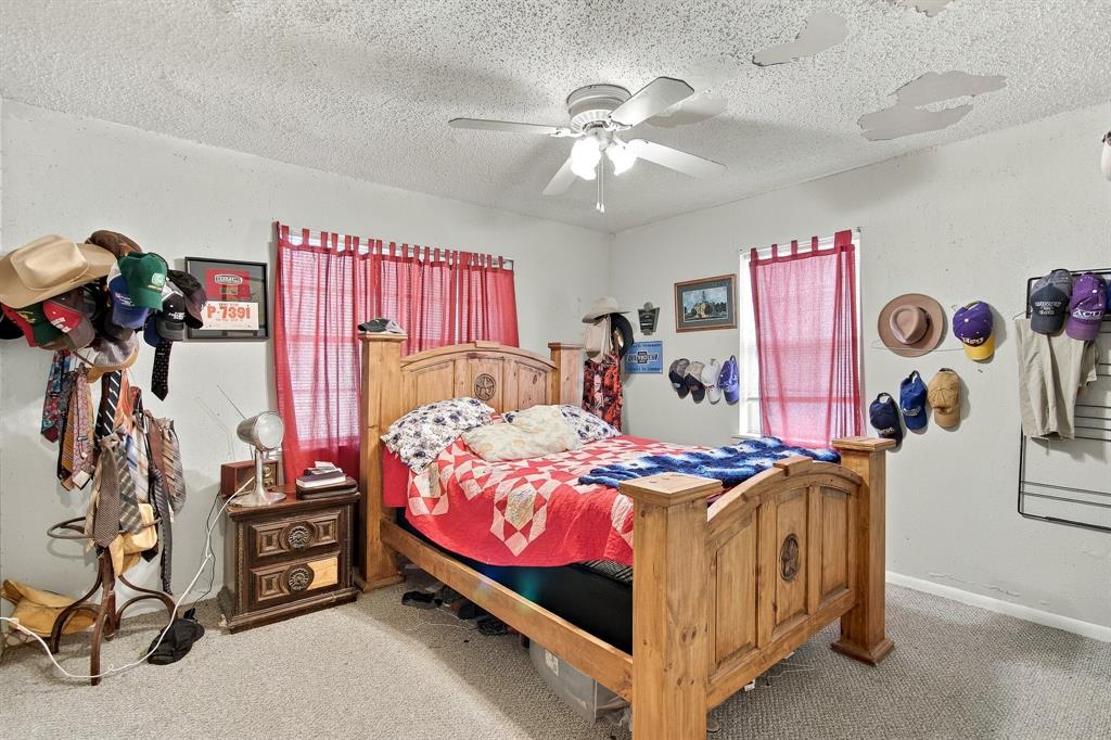203 Bowie Street Property Photo 22