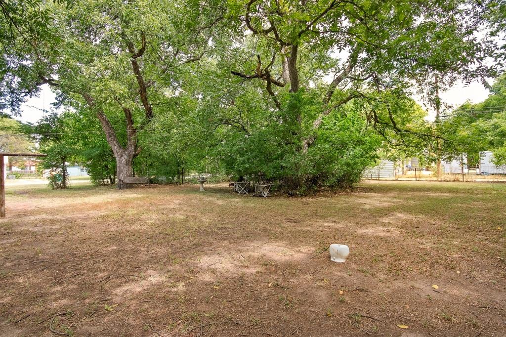 203 Bowie Street Property Photo 30