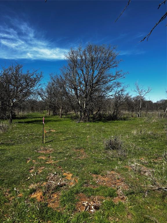 382 High Plains Court Property Photo 1