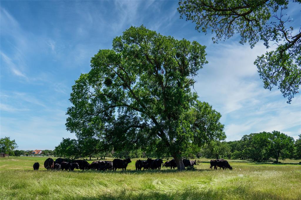 5200 Cross Timbers Road Property Photo 8