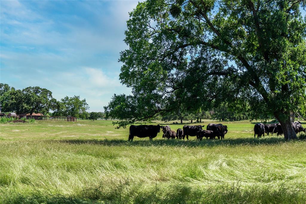 5200 Cross Timbers Road Property Photo 9