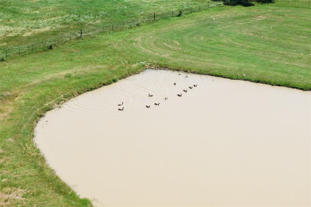 5200 Cross Timbers Road Property Photo 15