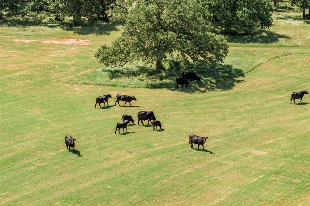 5200 Cross Timbers Road Property Photo 16