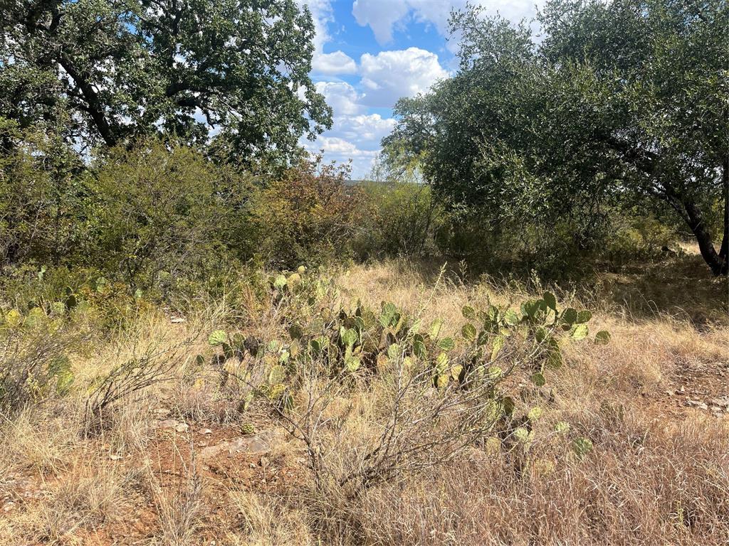 Tbd Fm 2632 Property Photo 1