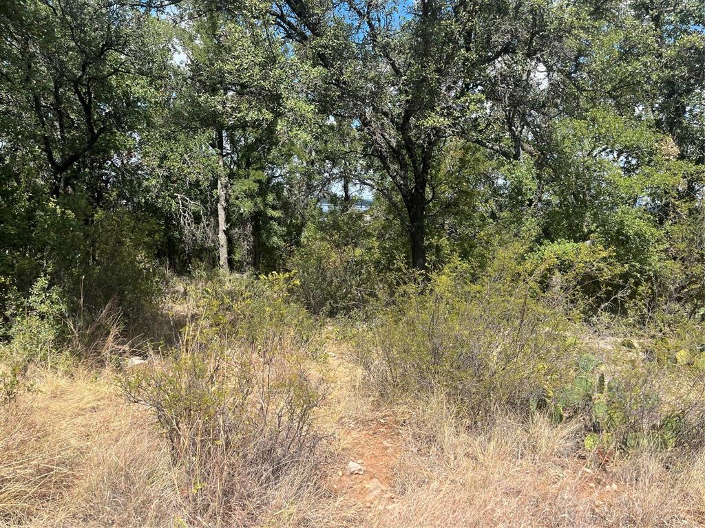Tbd Fm 2632 Property Photo 2