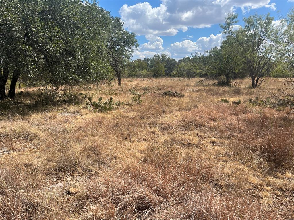 Tbd Fm 2632 Property Photo 3