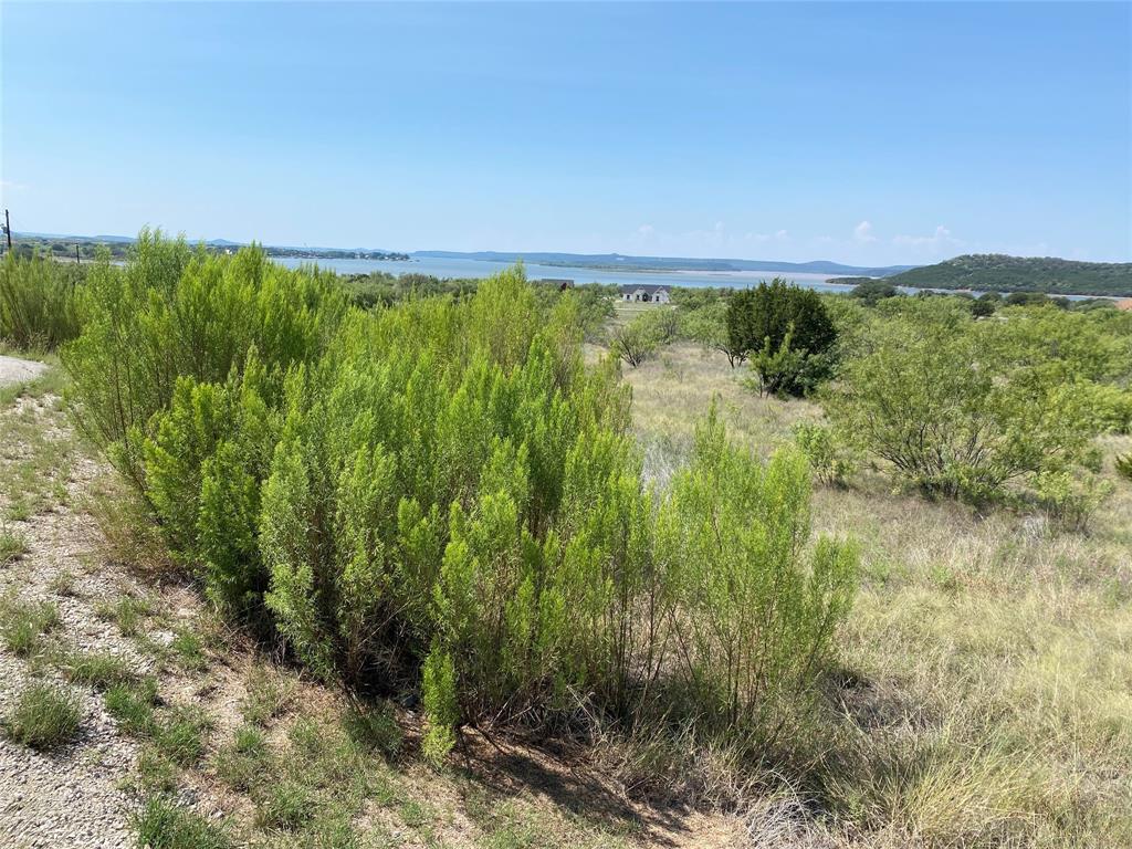 Lot 1057 Cinnamon Teal Drive Property Photo 4