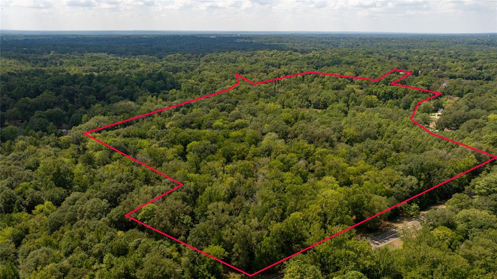 Fm 1845 Pine Tree Road Property Photo 1
