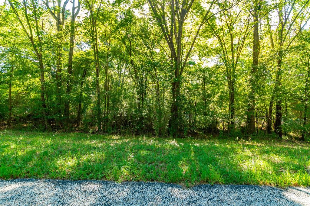 Tbd Fm 2064 N Property Photo 1
