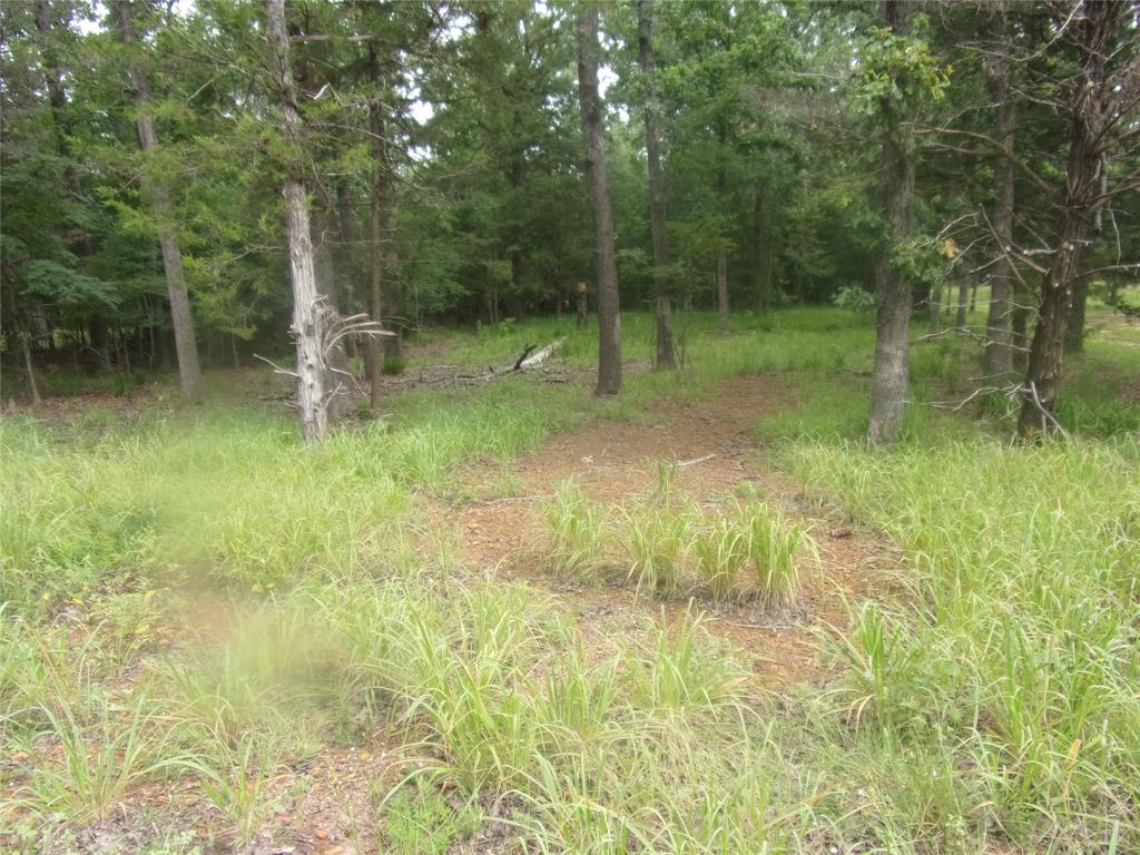 944 Whipporwill Property Photo 2