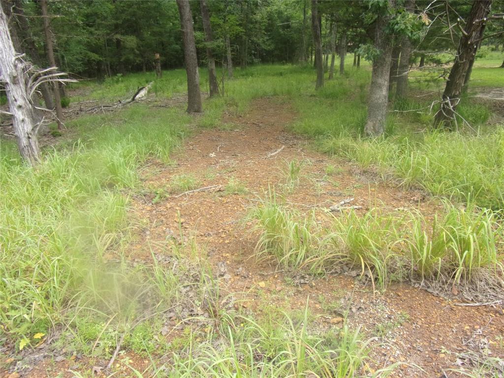 944 Whipporwill Property Photo 3