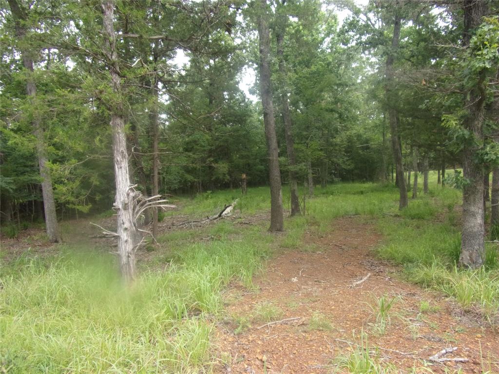944 Whipporwill Property Photo 4