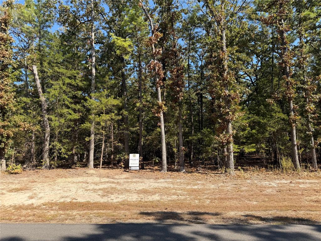 Lot 32 Whispering Pine Trail Property Photo 1