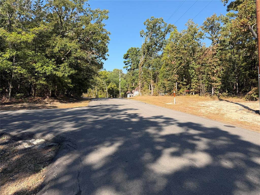 Lot 32 Whispering Pine Trail Property Photo 4