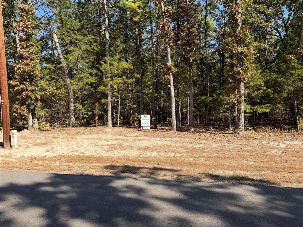 Lot 32 Whispering Pine Trail Property Photo 5
