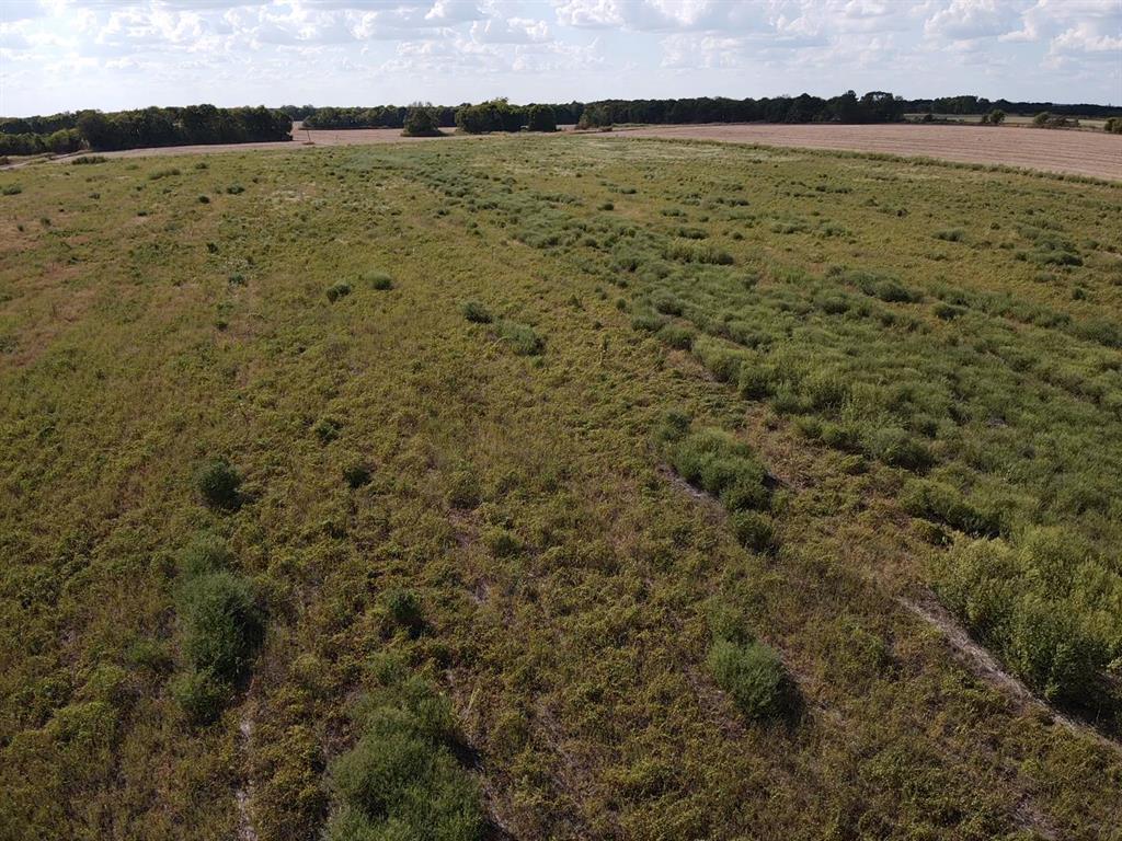 000 Lot 2 Cr 4116 Property Photo 5