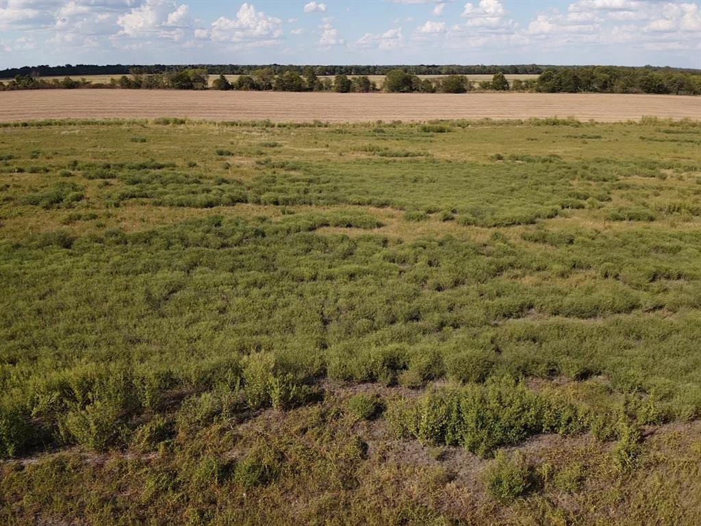 000 Lot 2 Cr 4116 Property Photo 6
