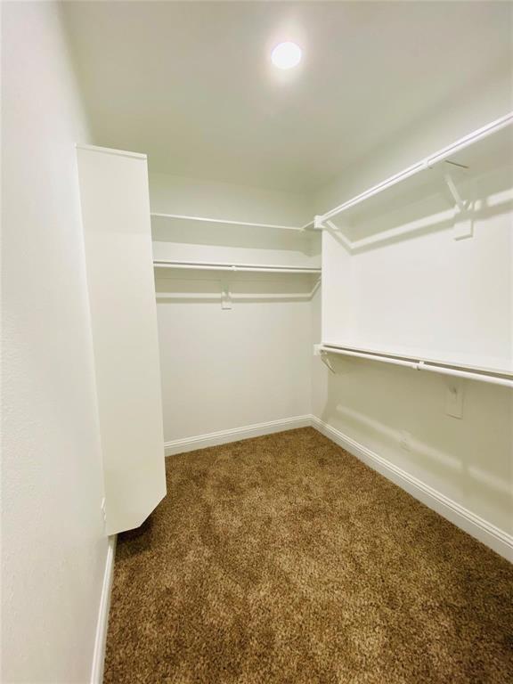821 W Nelson Street Property Photo 8