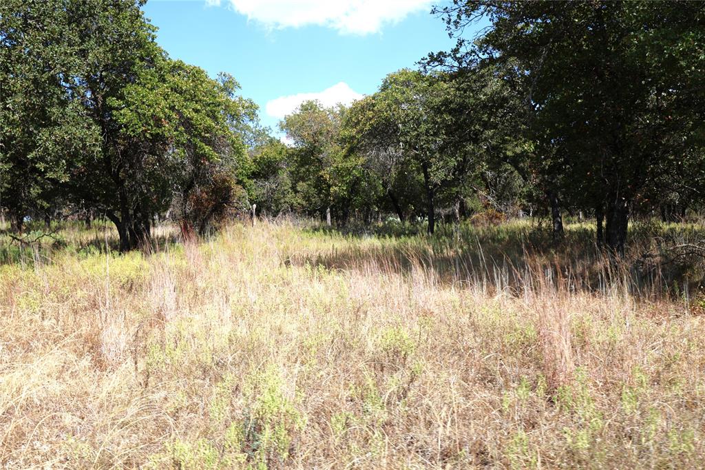 11899l County Road 108 Property Photo 24