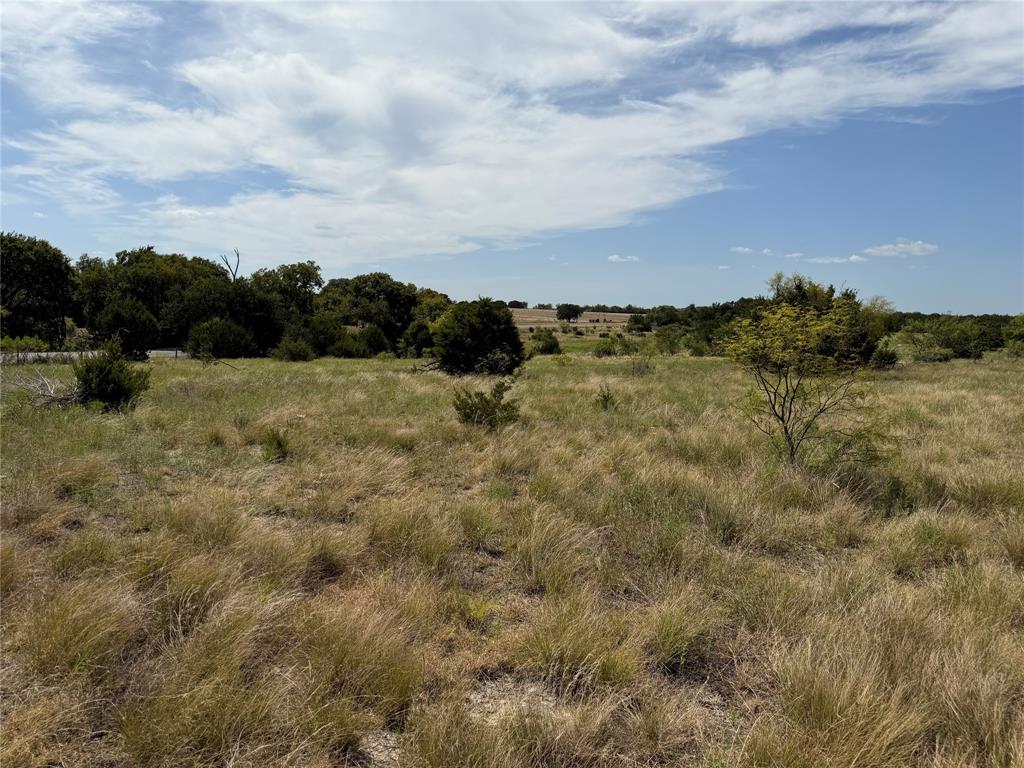 Tbd Fm 1241 Property Photo 4