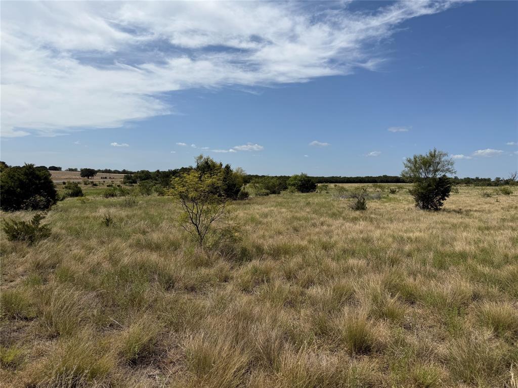 Tbd Fm 1241 Property Photo 6
