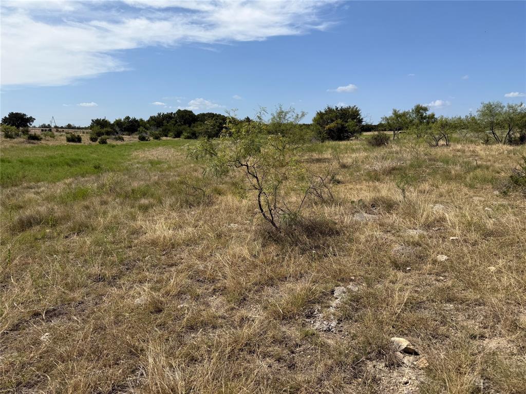 Tbd Fm 1241 Property Photo 8