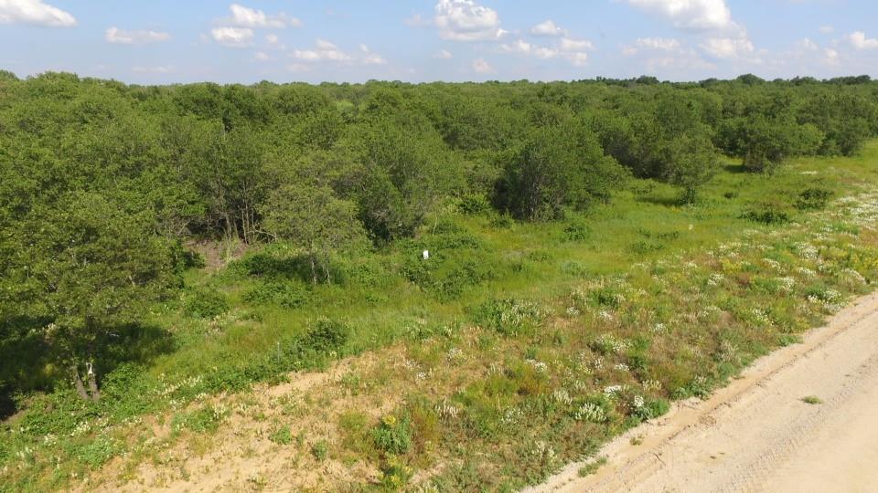 Tbd Paradise Oaks Property Photo 6
