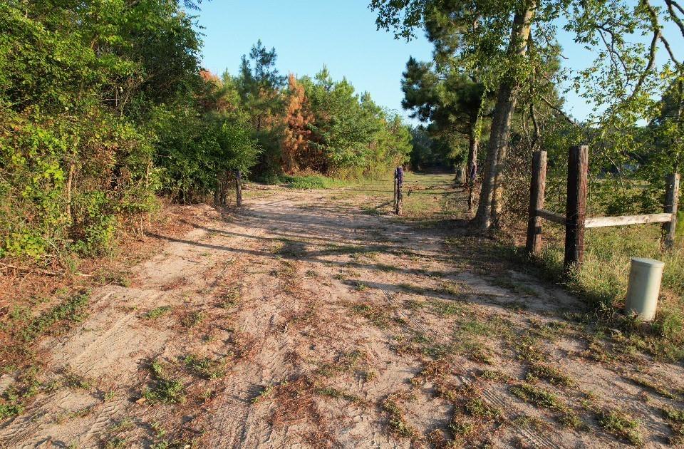 Tbd Farm To Market 3343 Property Photo 3