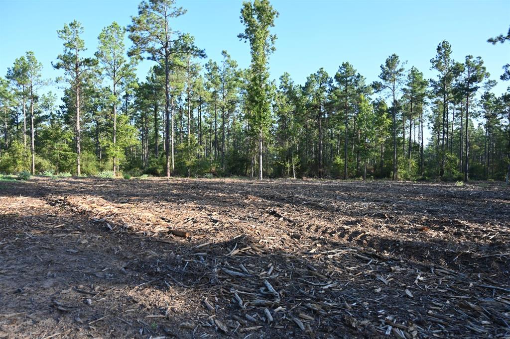 Tbd Farm To Market 3343 Property Photo 6