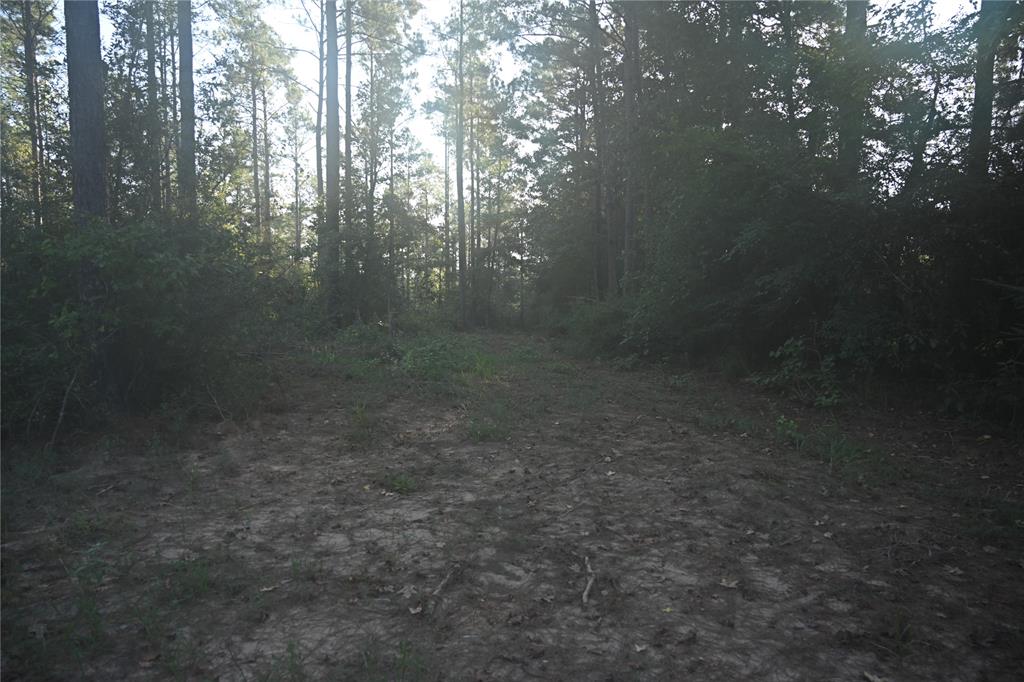 Tbd Farm To Market 3343 Property Photo 9