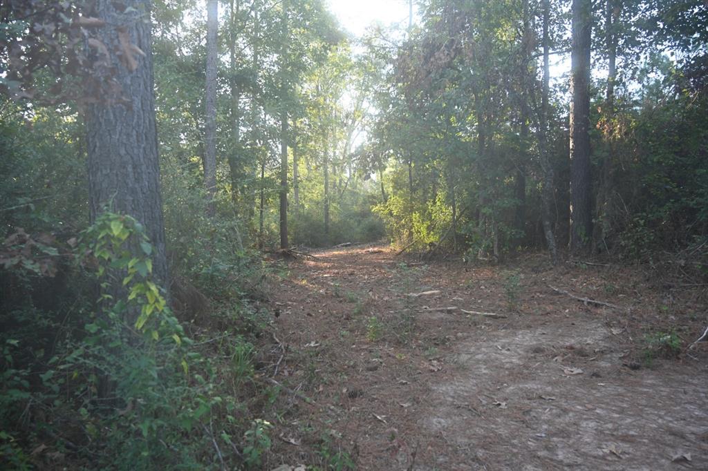 Tbd Farm To Market 3343 Property Photo 12