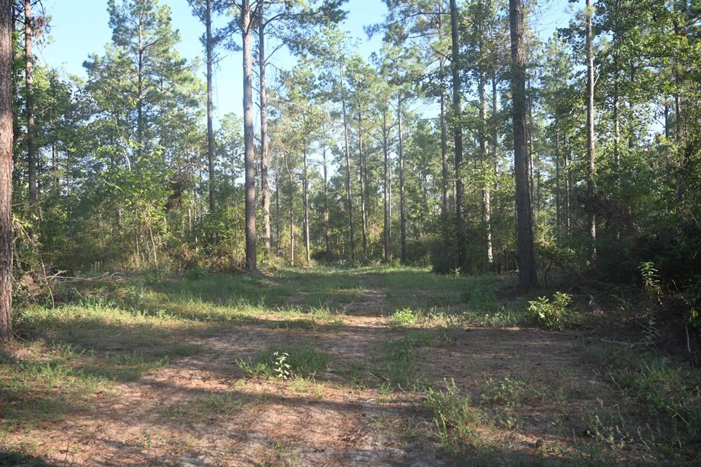 Tbd Farm To Market 3343 Property Photo 15