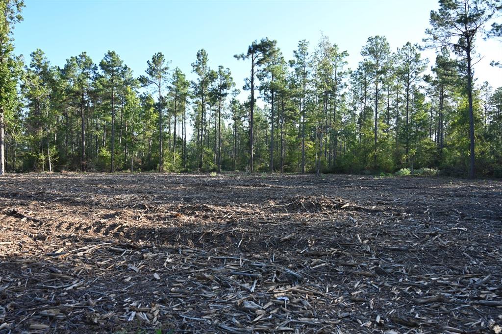 Tbd Farm To Market 3343 Property Photo 16
