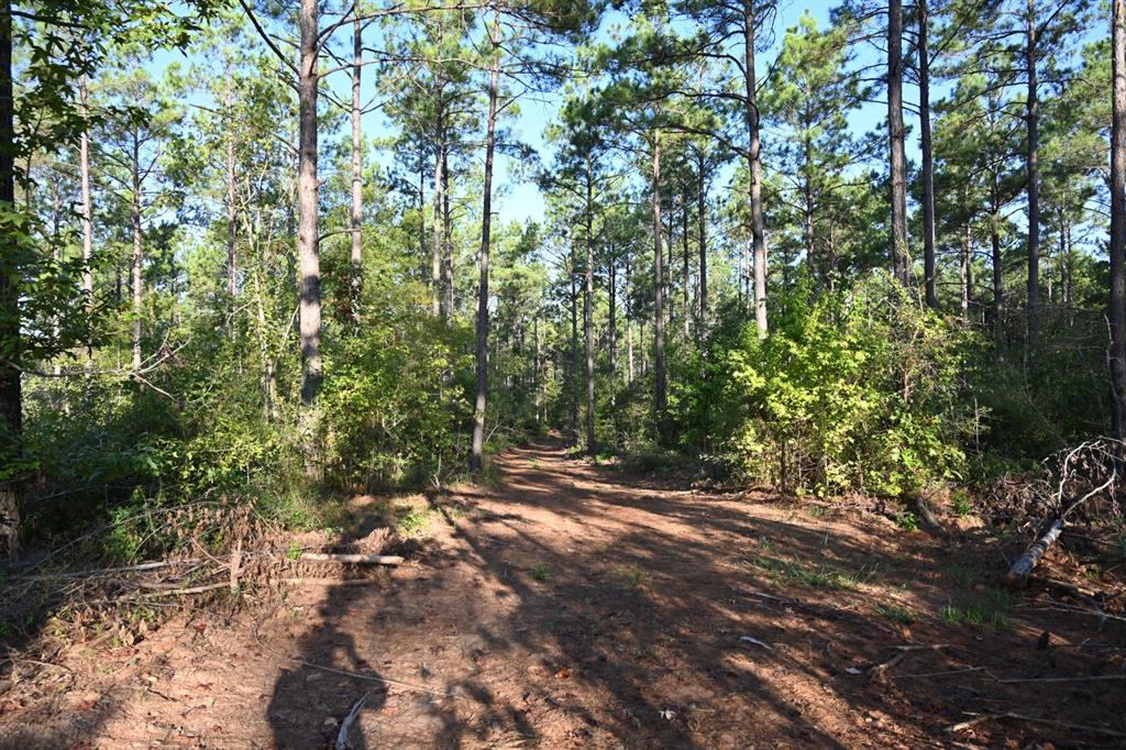 Tbd Farm To Market 3343 Property Photo 18