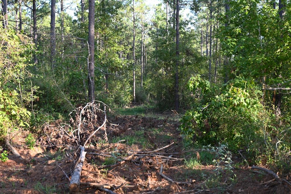 Tbd Farm To Market 3343 Property Photo 19