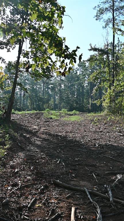 Tbd Farm To Market 3343 Property Photo 22