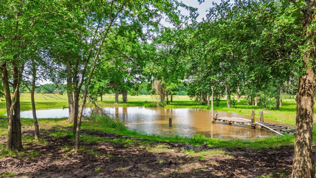 7478 County Road 1020 Property Photo 1