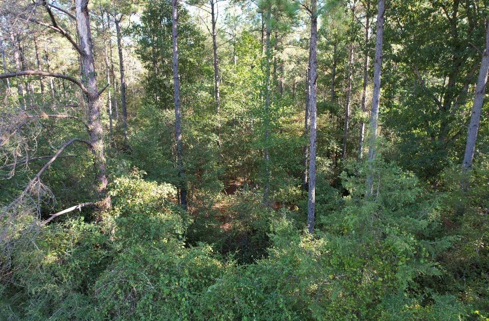 Tbd Cr 432 Property Photo 8