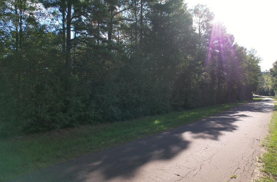 Tbd Cr 432 Property Photo 12
