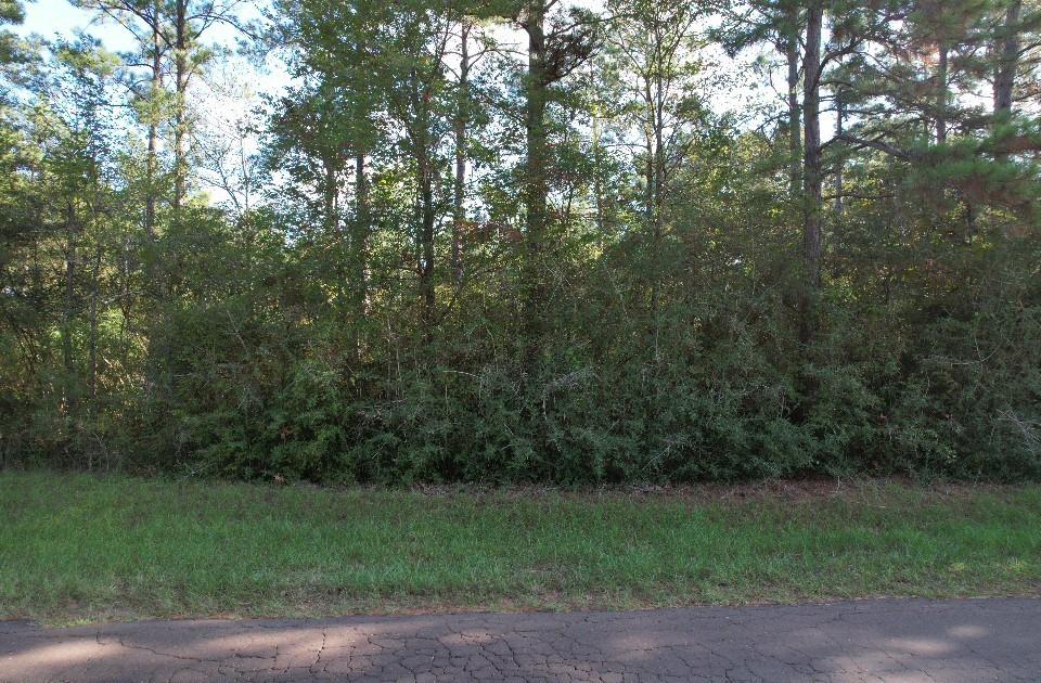 Tbd Cr 432 Property Photo 13