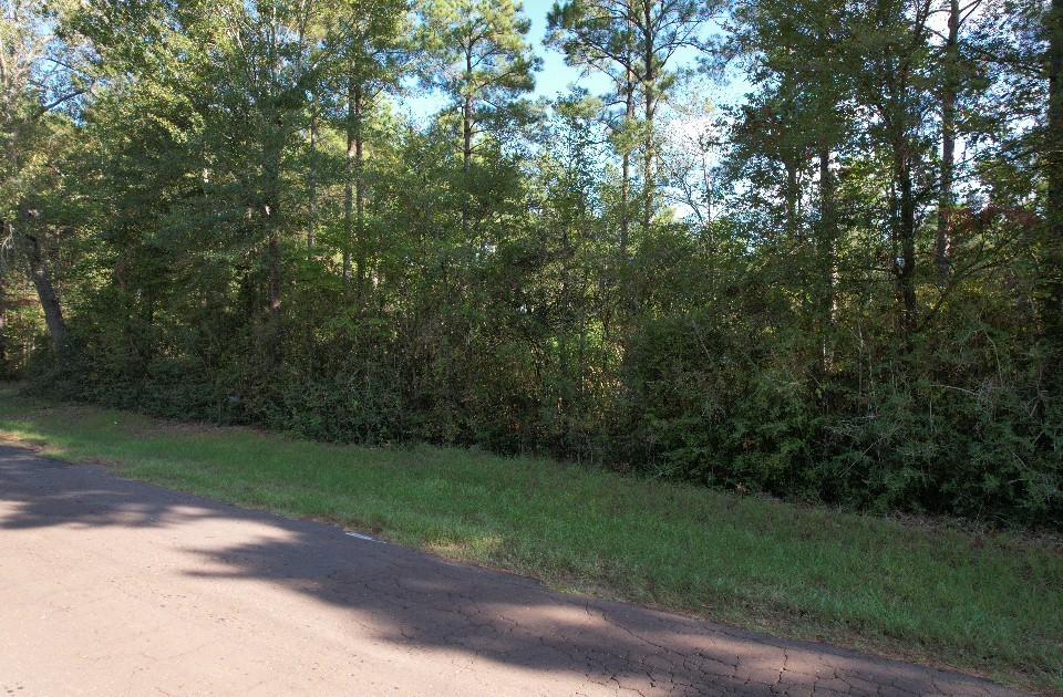 Tbd Cr 432 Property Photo 14