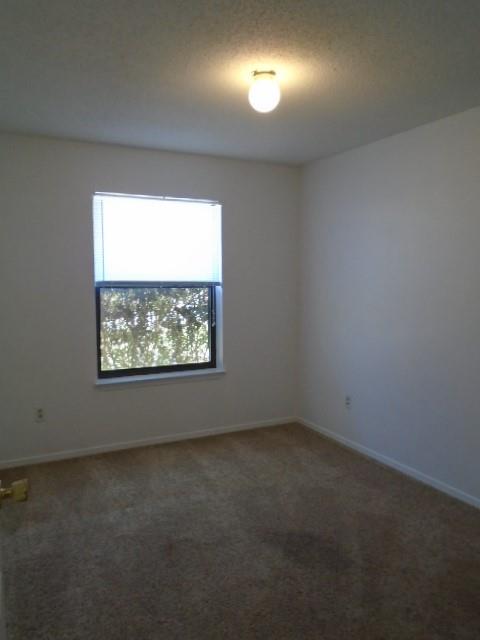 3910 Trinity Lane Property Photo 6