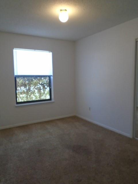 3910 Trinity Lane Property Photo 7