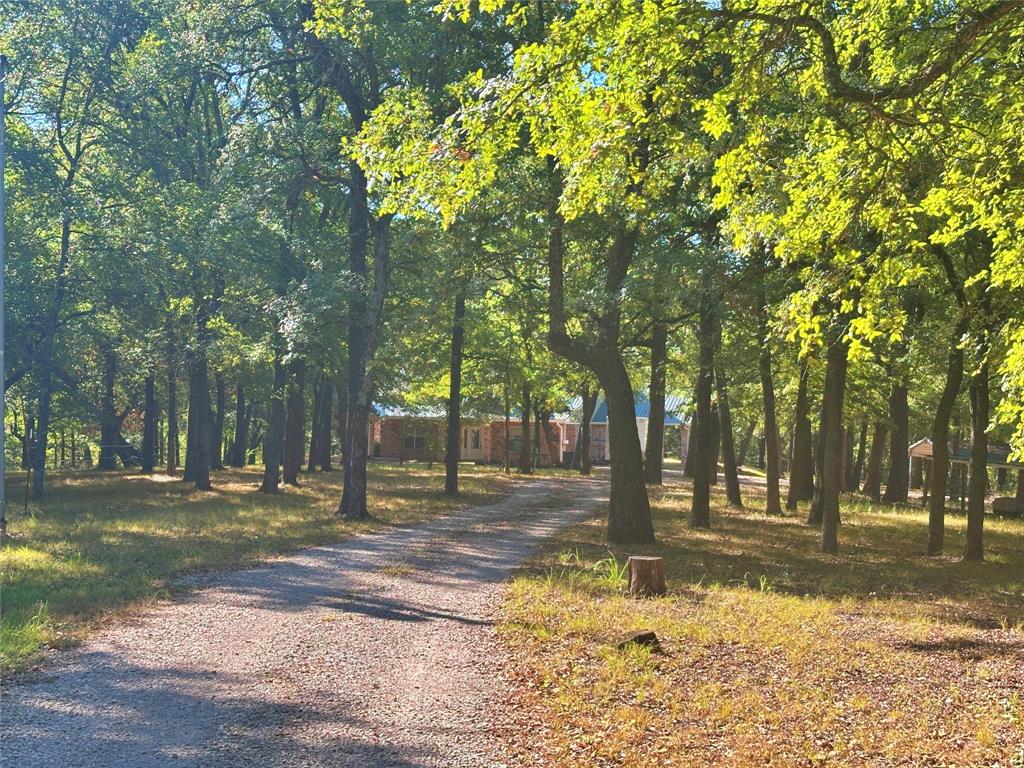3704 County Road 220 Property Photo 17
